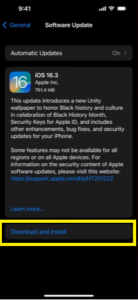 Click Download and Install