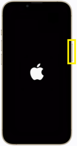 Release the side button when Apple’s logo appears