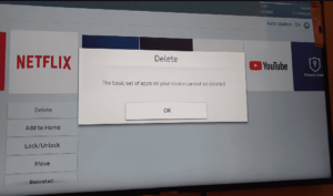 5. Get less bloatware with the Amazon Fire Stick.